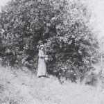 Fannie Martin at peach tree